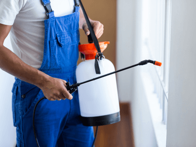 About Monthly Mosquito Treatment Plans Surprise - monthly mosquito treatment plans experts in Surprise